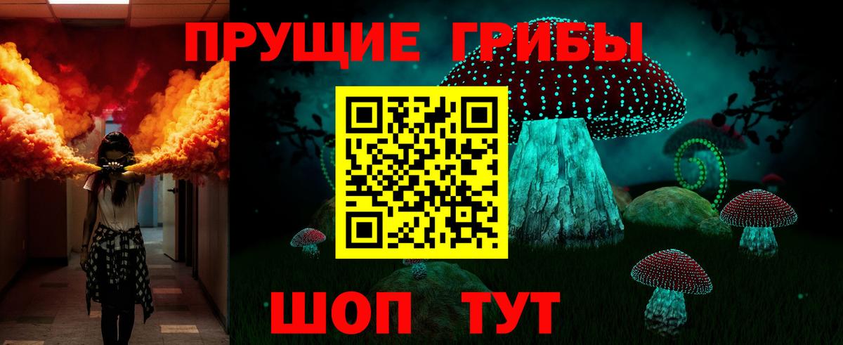 Благодарный  Галлюциногенные грибы Cubensis  Вход с VPN  Галлюциногенные грибы Psilocybe 