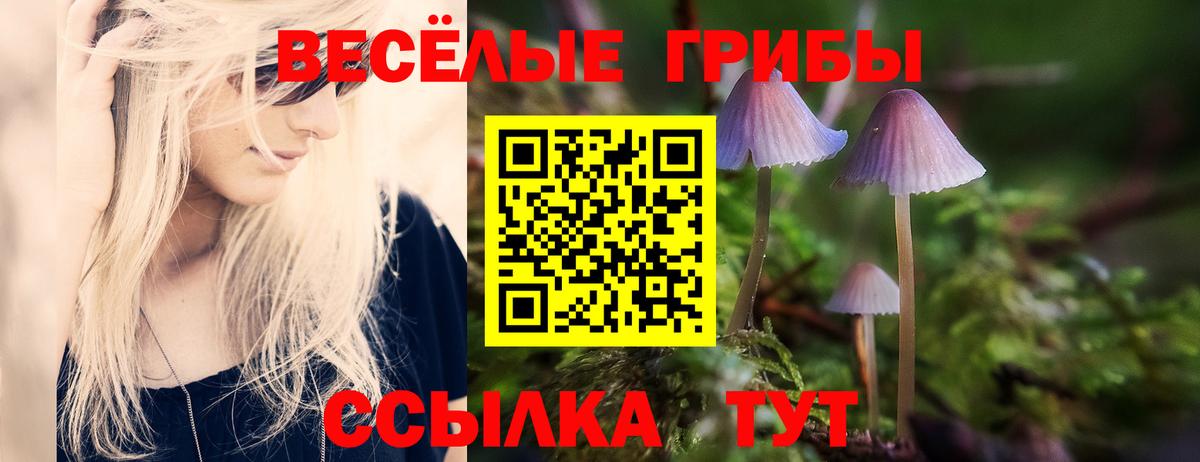 Галлюциногенные грибы Psilocybine cubensis Благодарный